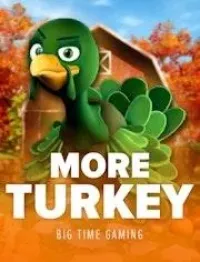 more turkey logo